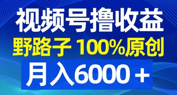 图片[1]-视频号野路子撸收益，100%原创，条条爆款，月入6000＋【揭秘】-晓月资源网