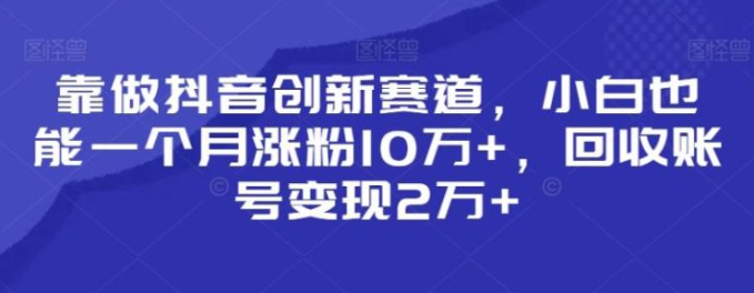 图片[1]-靠做抖音创新赛道，小白也能一个月涨粉10万+，回收账号变现2万+【揭秘】-晓月资源网