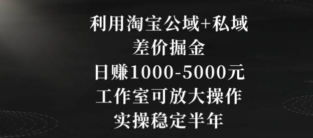 图片[1]-利用淘宝公域+私域差价掘金，日赚1000-5000元，工作室可放大操作，实操稳定半年【揭秘】-晓月资源网