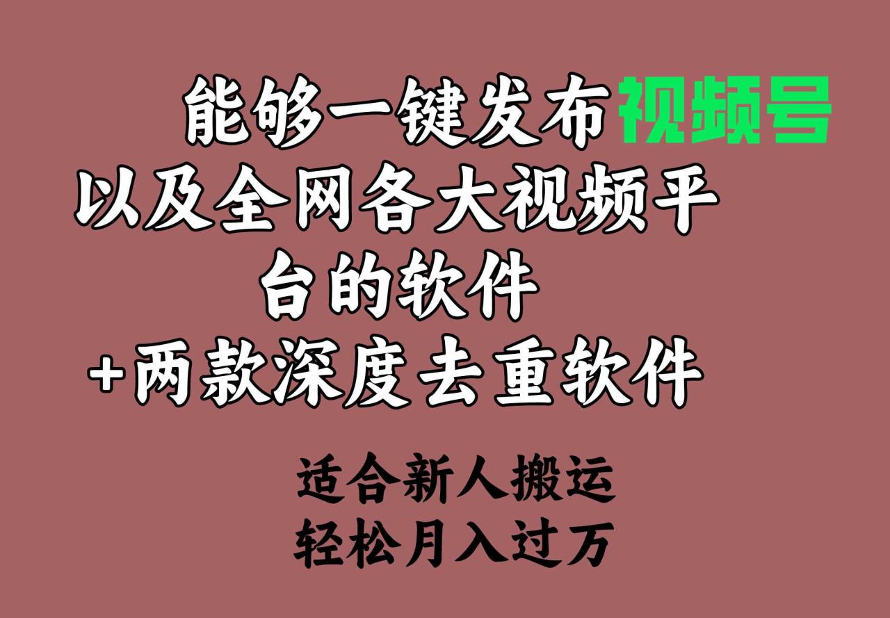 能够一键发布视频号以及全网各大视频平台的软件 两款深度去重软件_操作