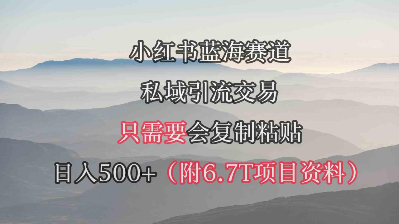 （9487期）小红书短剧赛道，私域引流交易，会复制粘贴，日入500 （附6.7T短剧资源）
