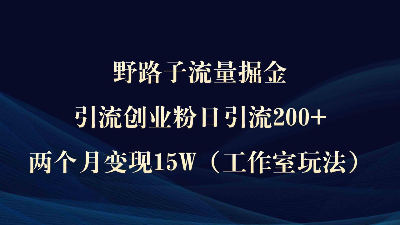 （9513期）野路子流量掘金，引流创业粉日引流200 ，两个月变现15W（工作室玩法））