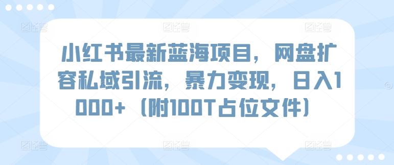 小红书最新蓝海项目，网盘扩容私域引流，暴力变现，日入1000 （附100T占位文件）【揭秘】