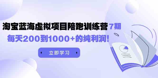 （9541期）黄岛主《淘宝蓝海虚拟项目陪跑训练营7期》每天200到1000 的纯利润