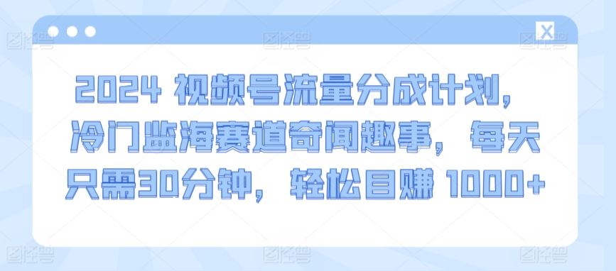 2024视频号流量分成计划，冷门监海赛道奇闻趣事，每天只需30分钟，轻松目赚 1000 【揭秘】