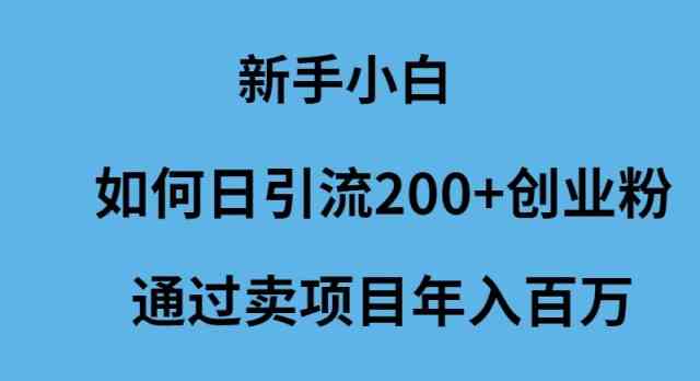 （9668期）新手小白如何日引流200 创业粉通过卖项目年入百万