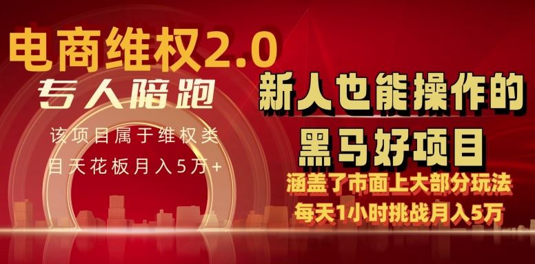 电商维权 4.0 如何做到月入 5 万 每天 1 小时新人也能快速上手【仅揭秘】