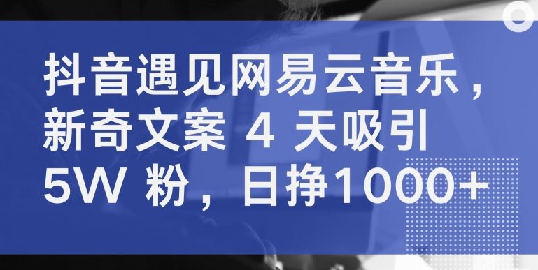 抖音×网易云音乐，4 天 5W 粉，新奇文案创作秘籍【必看】