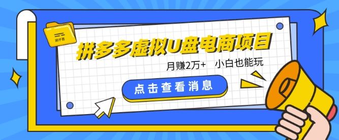 拼多多虚拟U盘电商红利项目：月赚2万 ，新手小白也能玩