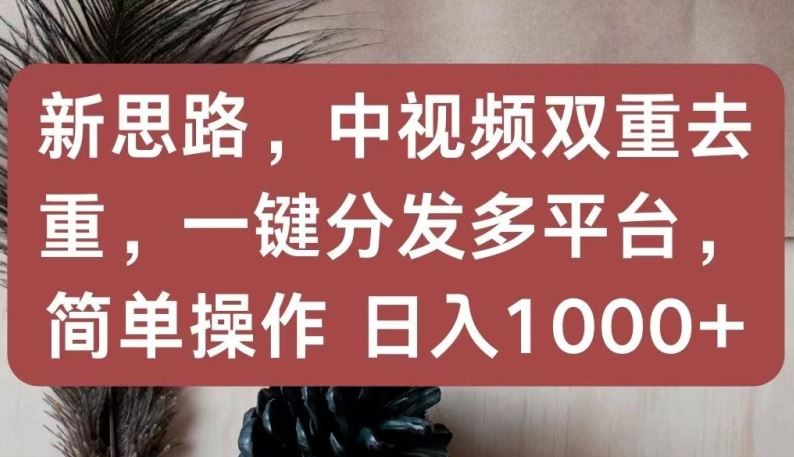 新思路，中视频双重去重，一键分发多平台，简单操作，日入1000 【揭秘】