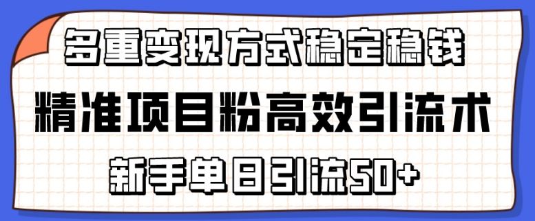 精准项目粉高效引流术，新手单日引流50 ，多重变现方式稳定赚钱【揭秘】