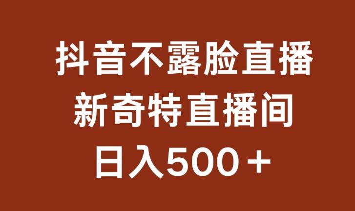 不露脸挂机直播，新奇特直播间，日入500 【揭秘】