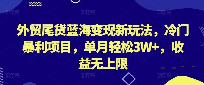 外贸尾货蓝海变现新玩法，冷门暴利项目，单月轻松3W ，收益无上限【揭秘】