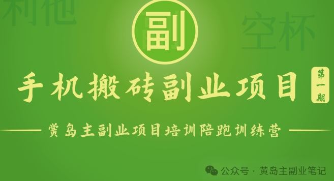 手机搬砖小副业项目训练营1.0，实测1小时收益50 ，一部手机轻松日入100 