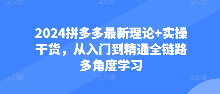 2024拼多多最新理论 实操干货，从入门到精通全链路多角度学习