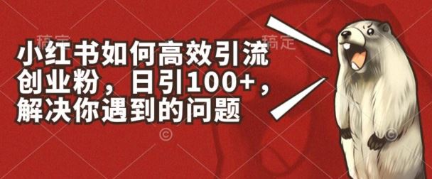 小红书如何高效引流创业粉，日引100 ，解决你遇到的问题【揭秘】