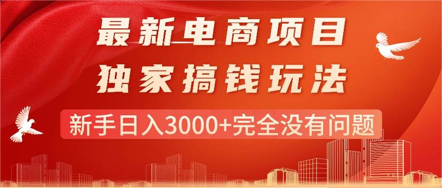 最新电商项目-搞钱玩法，新手日入3000 完全没有问题