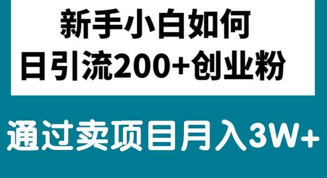 新手小白日引流200 创业粉,通过卖项目月入3W 