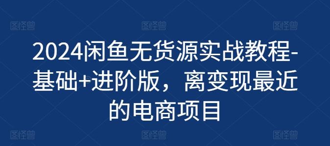 2024闲鱼无货源实战教程-基础 进阶版，离变现最近的电商项目