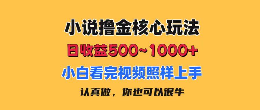 小说撸金核心玩法，日收益500-1000 ，小白看完照样上手，0成本有手就行