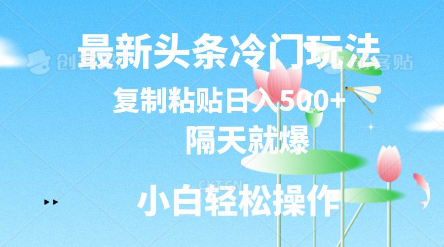 最新头条冷门玩法，隔天就爆，复制粘贴日入500 