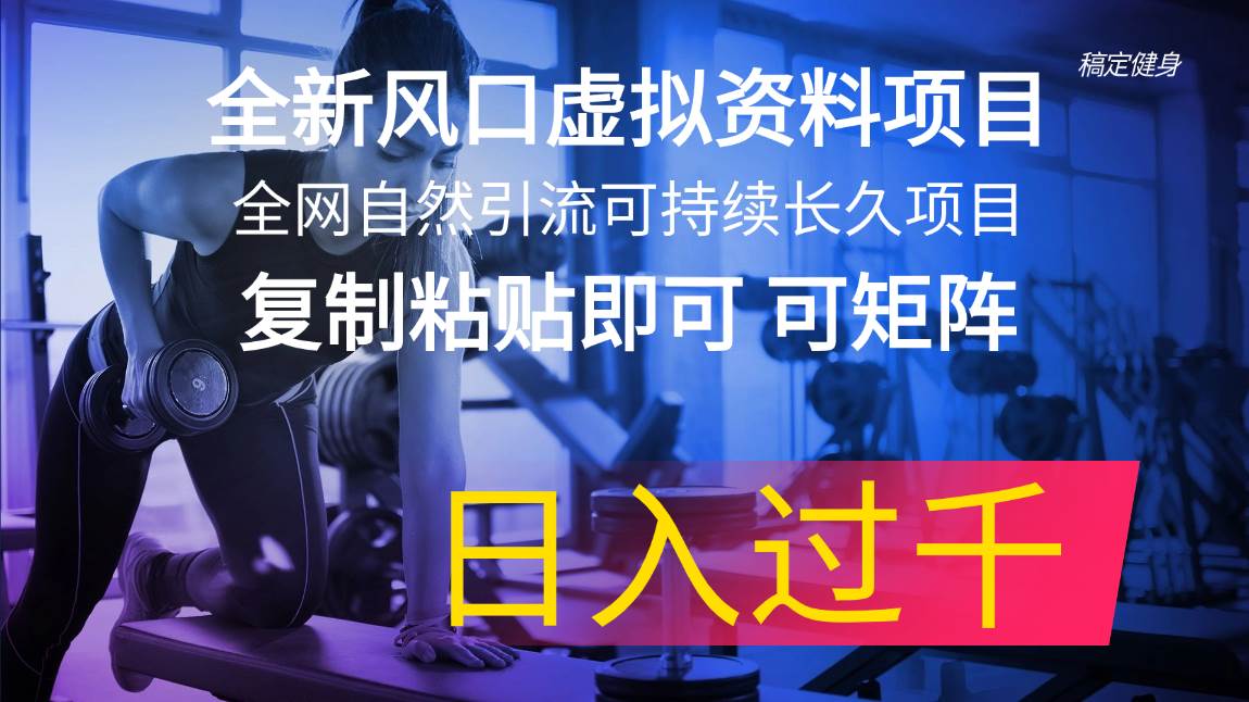 全新风口虚拟资料项目 全网自然引流可持续长久项目 复制粘贴即可可矩阵...