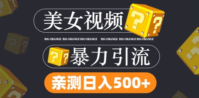 搬运tk美女视频全网分发，日引s粉300 ，轻松变现，不限流量不封号【揭秘】