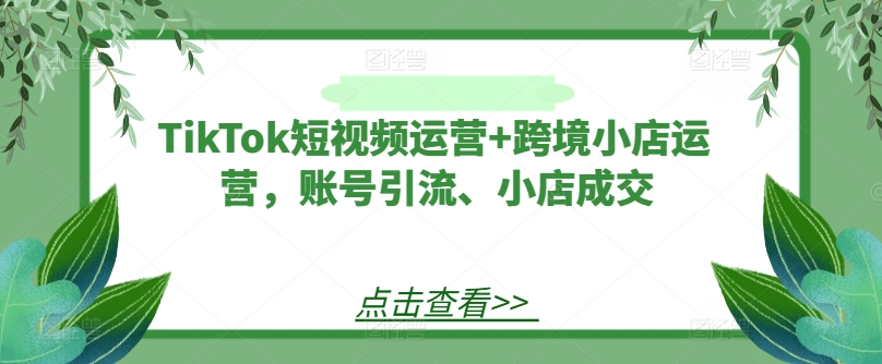 TikTok短视频运营 跨境小店运营，账号引流、小店成交