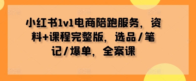 小红书1v1电商陪跑服务，资料 课程完整版，选品/笔记/爆单，全案课