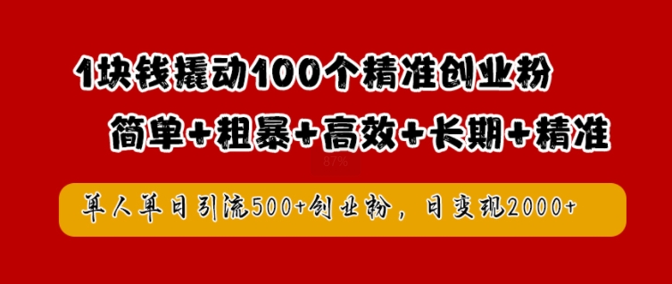 1块钱撬动100个精准创业粉，简单粗暴高效长期精准，单人单日引流500 创业粉，日变现2k【揭秘】