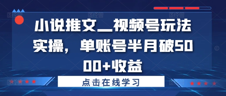 小说推文—视频号玩法实操，单账号半月破5000 收益