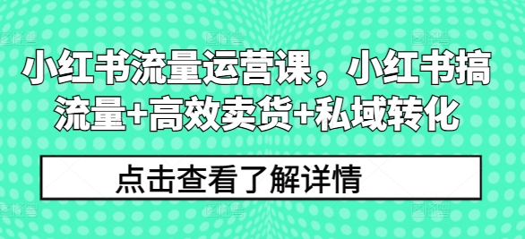 小红书流量运营课，小红书搞流量 高效卖货 私域转化