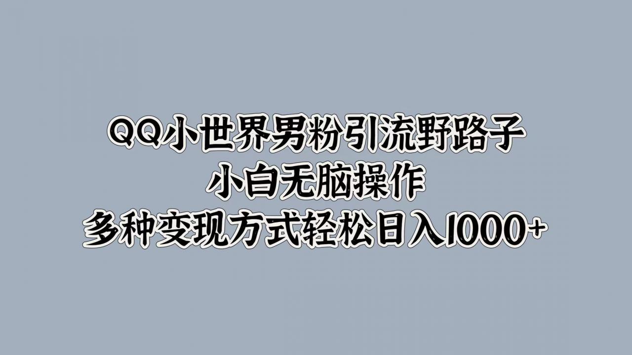 QQ小世界男粉引流野路子，小白无脑操作，多种变现方式轻松日入1000 