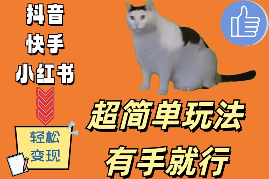 超简单玩法，有手就行，靠猫咪视频日入500 【揭秘】