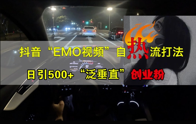 抖音EMO视频自热打法，日引500 “泛垂直”创业粉