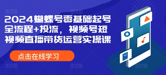 2024蝴蝶号零基础起号全流程 投流，视频号短视频直播带货运营实操课