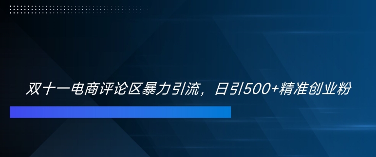 双十一电商评论区暴力引流，日引500 精准创业粉【揭秘】