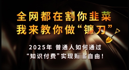 知识付费如何做到月入过W ，2025我来教你做“镰刀”【揭秘】