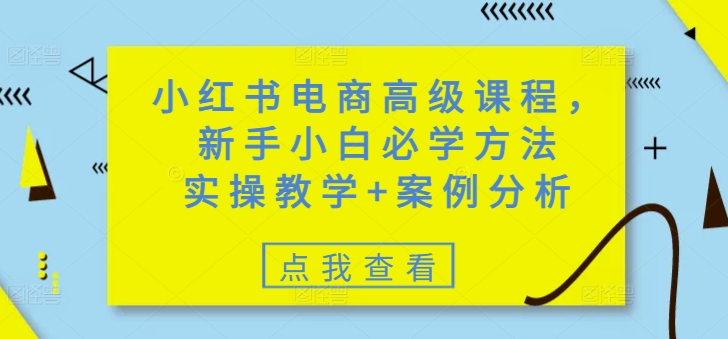 小红书电商高级课程，新手小白必学方法，实操教学 案例分析